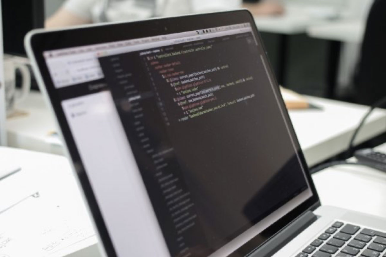 Developer